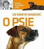 Co warto wiedzieć o psie