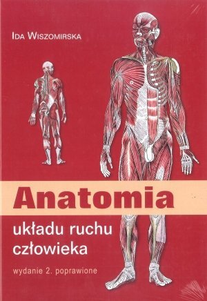 Anatomia układu ruchu człowieka