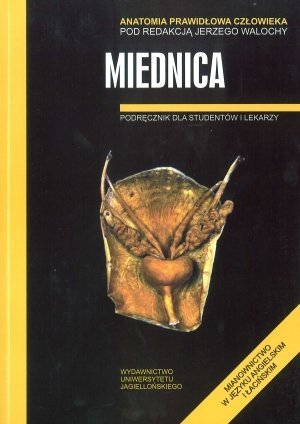 Miednica Anatomia prawidłowa człowieka Podręcznik dla studentów i lekarzy
