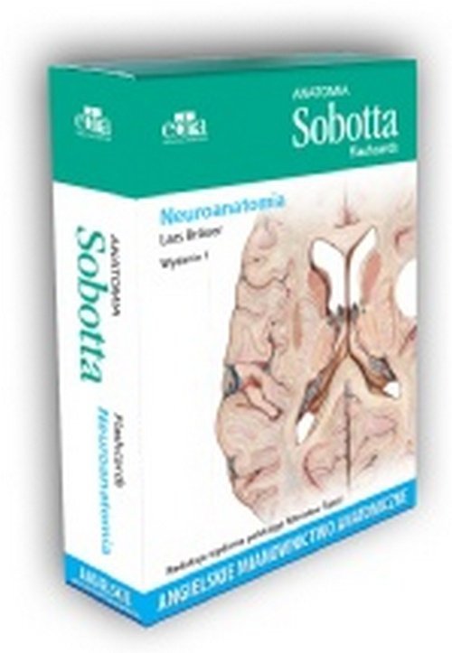 Anatomia Sobotta Flashcards Neuroanatomia Angielskie mianownictwo anatomiczne