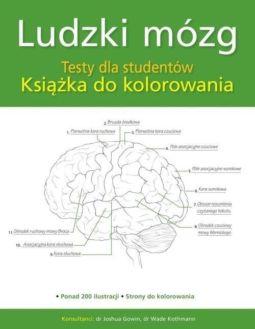 Ludzki mózg Testy dla studentów Książka do kolorowania