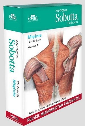 Anatomia Sobotta Flashcards. Mięśnie. Polskie mianownictwo anatomiczne