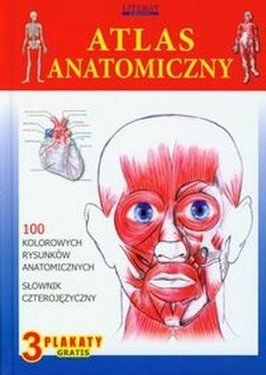 Atlas anatomiczny - twarda oprawa