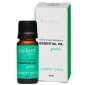 CARROT SEED Oil 