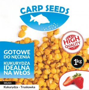 CARP SEEDS Kukurydza truskawkowa 1kg 