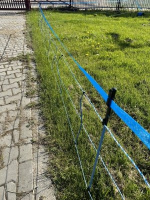 Siatka WildNet - ochrona przed dzikami - 50m x 90cm 