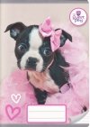 Zeszyt A5 w kolorową linię 16 kartek THE SWEET PETS PIESEK KOTEK (12689)