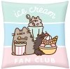 Poduszka jasiek 40 x 40 PUSHEEN kot kotek POSZEWKA (PUS2543C)