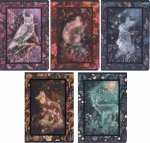 5x Zeszyt A5 32 kartki w kratkę FAIRYTALE (400181617SET5CZ)
