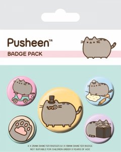 ZESTAW PRZYPINEK PUSHEEN przypinki 5 SZTUK Kot Kotek (BP80623)