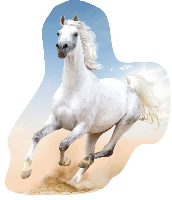 Poduszka kształtka HORSES Koń Konie (KSZ221001)