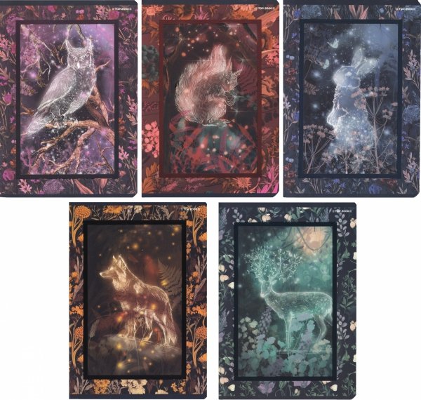 5x Zeszyt A5 60 kartek w kratkę FAIRYTALE (400182429SET5CZ)