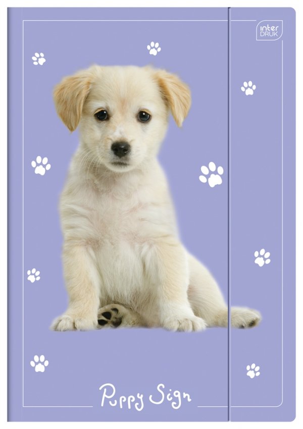 2x Teczka rysunkowa A4 z gumką PIESEK Puppy Sign (15406SET2CZ)