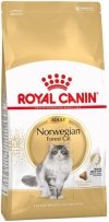Royal Norwegian Forest Cat 10kg