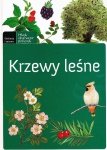 Krzewy leśne. Młody obserwator przyrody