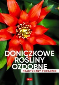 Doniczkowe rośliny ozdobne. Praktyczny poradnik 