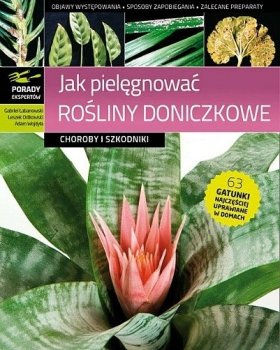 Jak pielęgnować rośliny doniczkowe