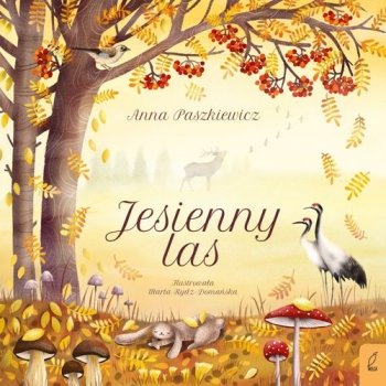Jesienny las - stan outletowy