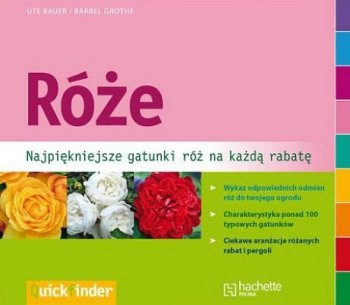 Róże. Najpiękniejsze gatunki róż na każdą rabatę