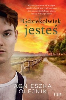 Gdziekolwiek jesteś. Jak dzikie gęsi, Tom 2 