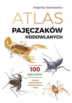 Atlas pajęczaków hodowlanych. 100 gatunków