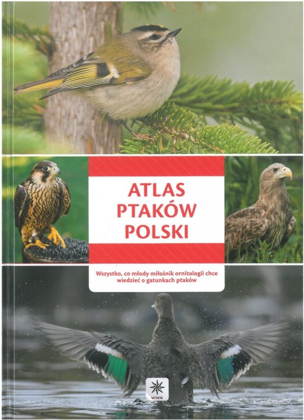 Atlas ptaków Polski, Dragon