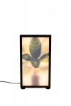 Lampa podłogowa GROW M