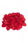 DREAMTOYS AMOUR THE HEARTS OF LOVE HAPPY HEART KIT