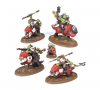 Orks - Squighog Boyz