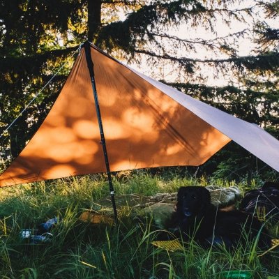 Tarp Lesovik ZMORA - walnut brown