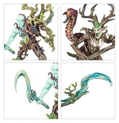 Regiment of Renown - The Twisted Branch