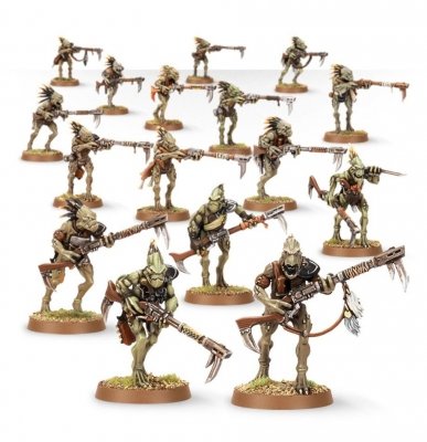 Tau Empire - Kroot Carnivore Squad