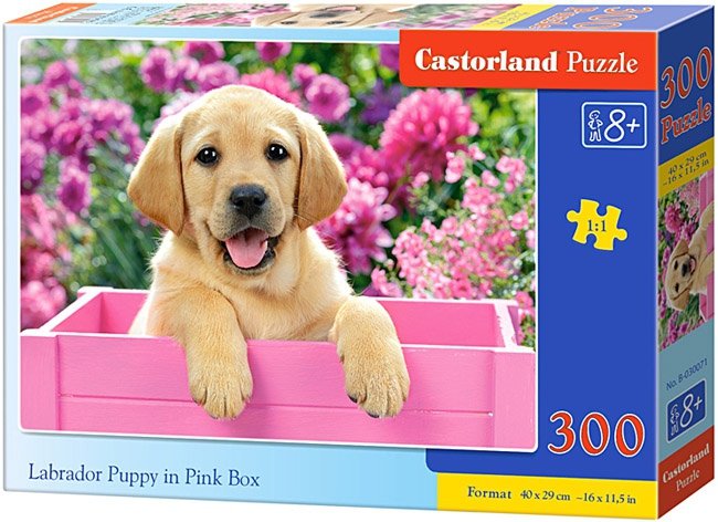 Puzzle 300 Castorland B-030071 Piesek - Labrador Puppy in Pink Box