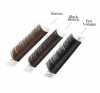 Rzęsy Brown Line (Brown)  by Noble Lashes