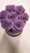Fioletowe żywe WIECZNE róże w małym fioletowym velvet boxie XS
