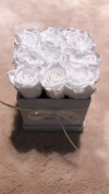 Nowość!Białe żywe WIECZNE róże w kwadratowym kremowym velvet boxie