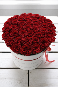 Czerwone żywe róże w dużym białym boxie