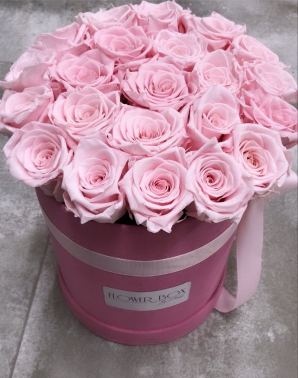 Różowe żywe WIECZNE róże w dużym boxie