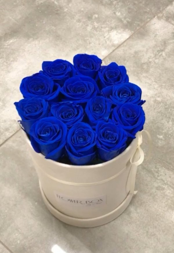 Niebieskie żywe WIECZNE róże w średnim białym velvet boxie