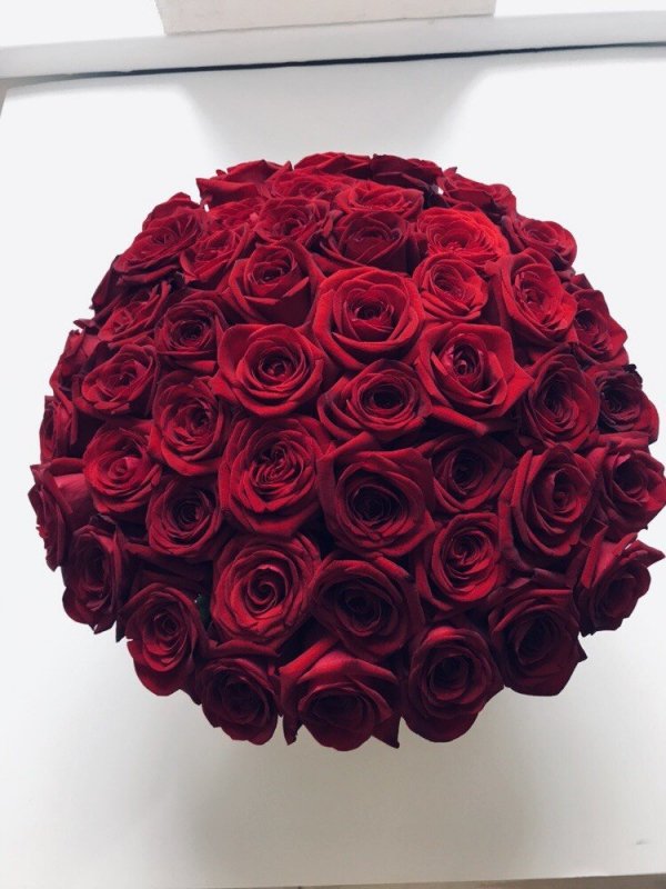  POWIĘKSZONY czerwone żywe róże w dużym kremowym VELVET boxie