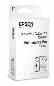 Maintenance box EPSON C13T295000, Epson WorkForce WF-100W