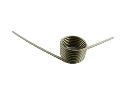 Części / Fujitsu / Lock Spring 2 PA03450-Y410, Spring,  Metallic, 1 pc(s)