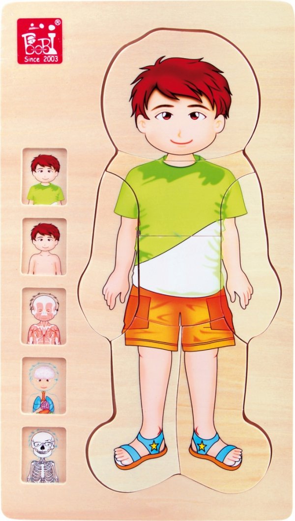 SMALL FOOT Puzzle Drewniane - Anatomia Ciała (chłopiec)