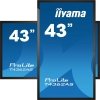 Płaski panel interaktywny Iiyama T4362AS-B1 - 108 cm (42.5) - IPS - 3840 x 2160 pikseli - 24/7