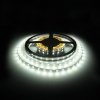 Whitenergy Taśma LED|5m|60szt/m|SMD3528|4.8W/m|12V|wew.|8mm|zimna biała|bez konektora