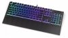 Endorfy Klawiatura Omnis Pudding Kailh Brown RGB