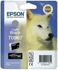 Epson Atrament/T096 Light Black f R2880