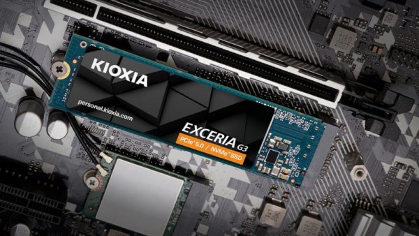 Kioxia Dysk SSD Exceria G3 2TB 2280 PCIe5.0 10000/9600 MB/s