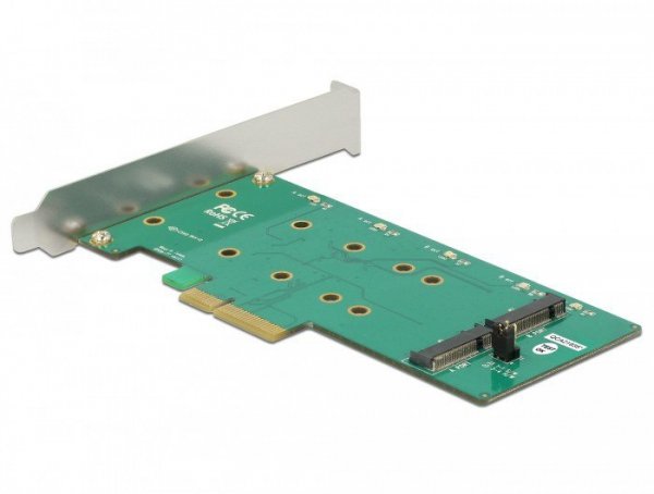 Delock Karta rozszerzeń PCI Express 2x M.2 Key B RAID