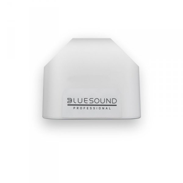 Bluesound Professional Bezprzewodowy głośnik sieciowy BSP125W ze zintegrowanym źródłem audio, biały